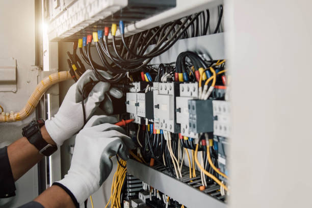Best Electrician for Home Renovation  in Farmers Loop, AK